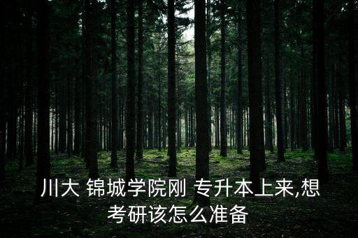 川大 錦城學院剛 專升本上來,想考研該怎么準備