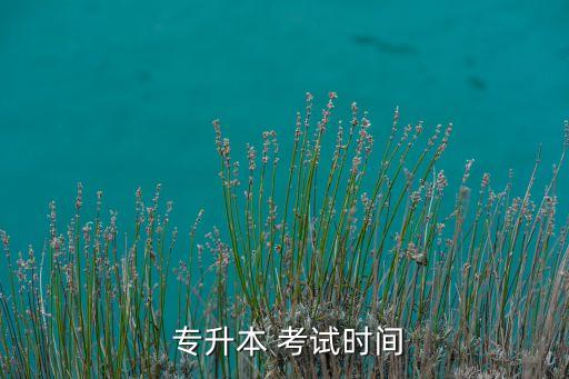  專升本 考試時間