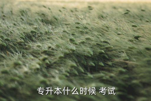  專升本什么時候 考試