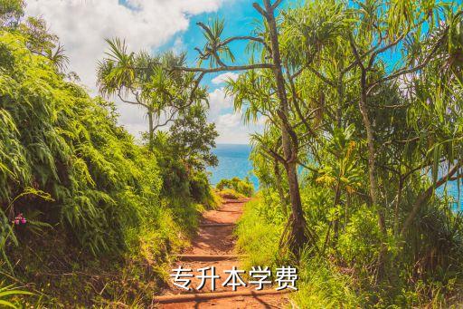 專升本花錢買多少錢,專升本學費不固定主要和申請方式有關(guān)