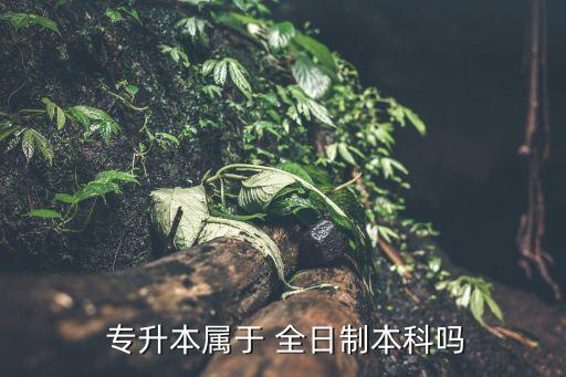  專升本屬于 全日制本科嗎