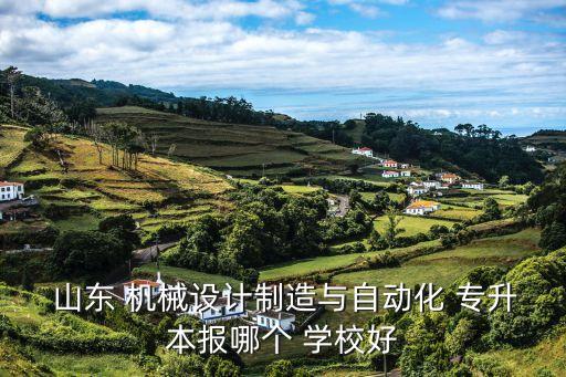  山東 機(jī)械設(shè)計(jì)制造與自動化 專升本報(bào)哪個 學(xué)校好