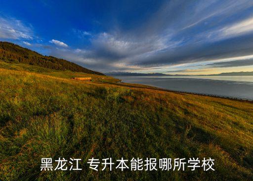  黑龍江 專升本能報哪所學(xué)校