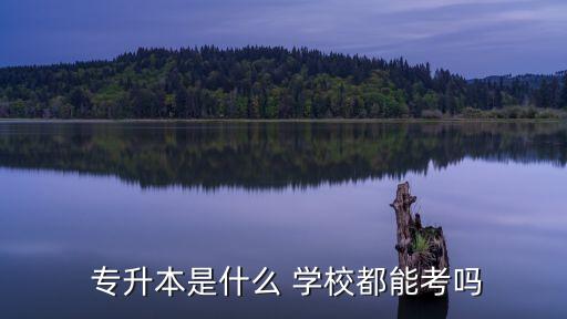  專升本是什么 學(xué)校都能考嗎