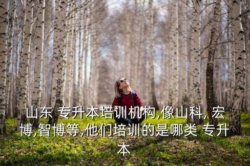 山東 專升本培訓(xùn)機(jī)構(gòu),像山科, 宏博,智博等,他們培訓(xùn)的是哪類 專升本