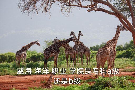  威海 海洋 職業(yè) 學(xué)院是專(zhuān)科a級(jí)還是b級(jí)