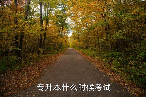 遼寧日語專升本都考什么時(shí)候,成人高考專升本考試時(shí)間表公布