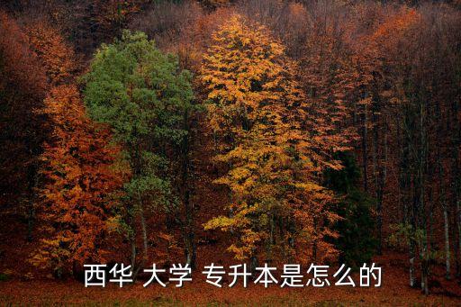 西華大學(xué)官網(wǎng)專升本情況,升本科后的專業(yè)和你的?？茖I(yè)很接近