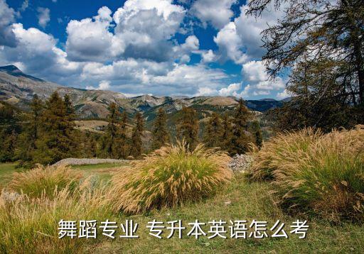  舞蹈專(zhuān)業(yè) 專(zhuān)升本英語(yǔ)怎么考