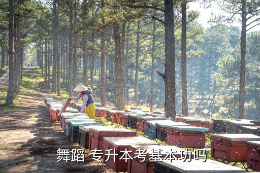 舞蹈專升本,舞蹈專升本英語考試范圍擴大至全省