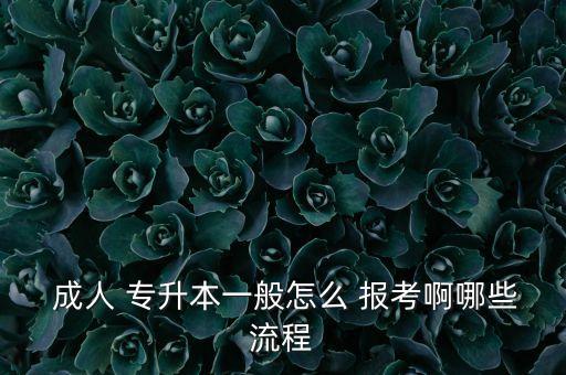 怎么報(bào)考交大成人專升本,成人高考報(bào)名系統(tǒng)如何進(jìn)行?