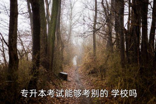 專升本可以考什么學(xué)校嗎,專升本對(duì)象僅為應(yīng)屆高校畢業(yè)生