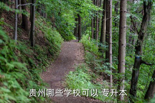  貴州哪些學(xué)校可以 專升本