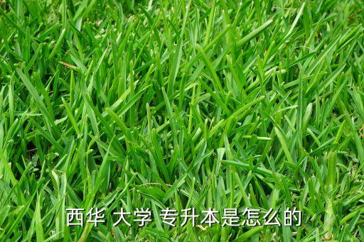  西華 大學 專升本是怎么的