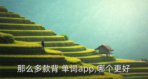 那么多款背 單詞app,哪個更好