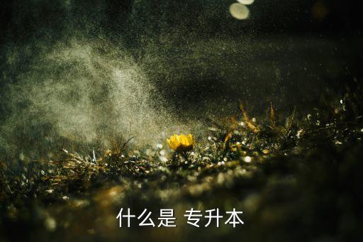 什么叫全日制專升本,專升本分兩種考試對象僅限于各省、直轄市