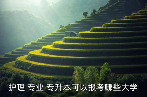 護理 專業(yè) 專升本可以報考哪些大學