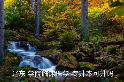 遼東學(xué)院可以專升本嗎,統(tǒng)招專升本更高含金量比專科畢業(yè)生更高