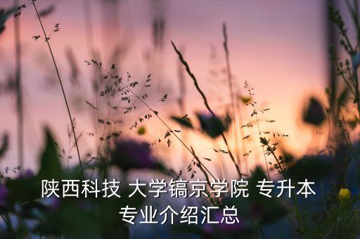  陜西科技 大學(xué)鎬京學(xué)院 專(zhuān)升本 專(zhuān)業(yè)介紹匯總