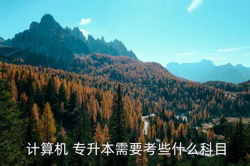 云計(jì)算的專升本,計(jì)算計(jì)算機(jī)應(yīng)用可報(bào)考計(jì)算數(shù)碼專業(yè)?？? /></a><a href=