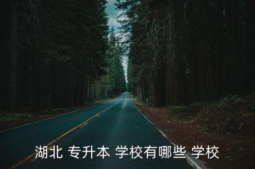 武漢專升本好考的學(xué)校,招生院校包括武漢大學(xué)和武昌理工學(xué)院