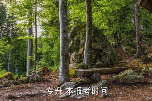  專升 本報(bào)考時間