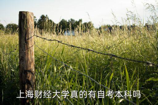 上財(cái)專升本入學(xué)考試,上海財(cái)經(jīng)大學(xué)成為全國(guó)示范性高等學(xué)府