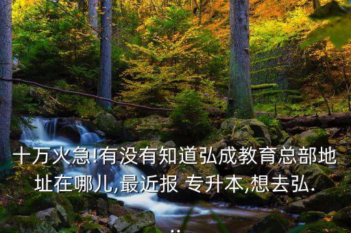 十萬火急!有沒有知道弘成教育總部地址在哪兒,最近報(bào) 專升本,想去弘...