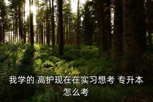 我學(xué)的 高護(hù)現(xiàn)在在實(shí)習(xí)想考 專升本怎么考