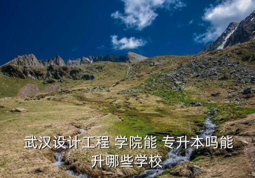  武漢設(shè)計(jì)工程 學(xué)院能 專升本嗎能升哪些學(xué)校