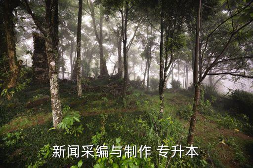 專升本新聞學(xué)好考嗎,專升本考試科目:政治、英語、專業(yè)課