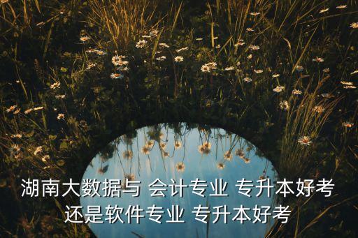 湖南大數據與 會計專業(yè) 專升本好考還是軟件專業(yè) 專升本好考