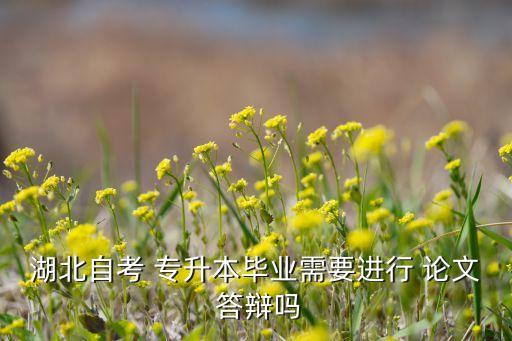 華農(nóng)專升本論文答辯,湖北自考專升本成績(jī)公布需要辦-3答辯群