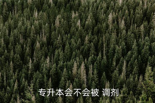  專升本會(huì)不會(huì)被 調(diào)劑