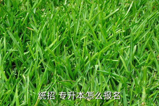 宿州專升本報名,安徽醫(yī)科大學專升本報名咨詢流程