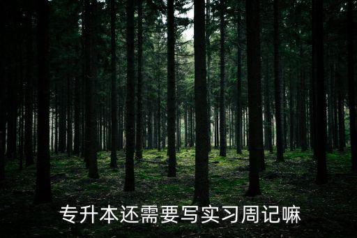 畢業(yè)生專(zhuān)升本日記,考研還是專(zhuān)升本不能改變專(zhuān)科學(xué)歷