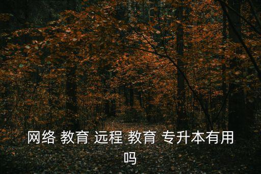 網(wǎng)絡(luò) 教育 遠(yuǎn)程 教育 專升本有用嗎