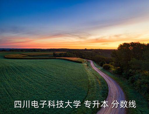  四川電子科技大學(xué) 專(zhuān)升本 分?jǐn)?shù)線(xiàn)