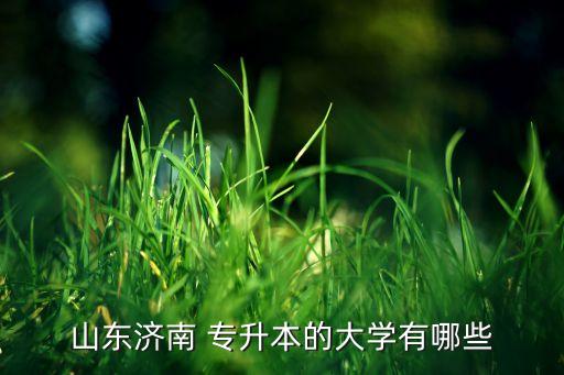 山東濟南 專升本的大學(xué)有哪些