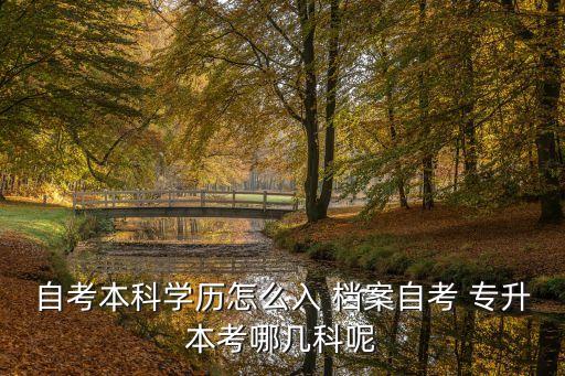 專升本學籍檔案內(nèi)容,自考檔案若在人力市場可交給工作人員管理