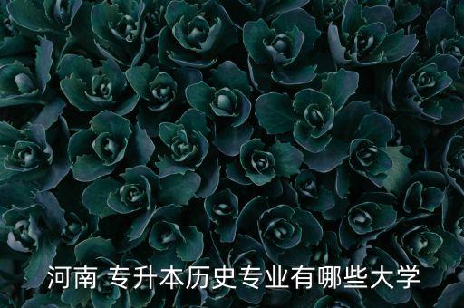  河南 專升本歷史專業(yè)有哪些大學(xué)