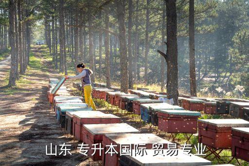 山東經(jīng)濟(jì)貿(mào)易類(lèi)專升本,四門(mén)公共基礎(chǔ)課你要報(bào)名參加
