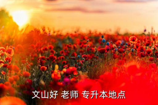 成都好老師專升本地址,文山豪老師專升本/相對(duì)年輕但是很好!