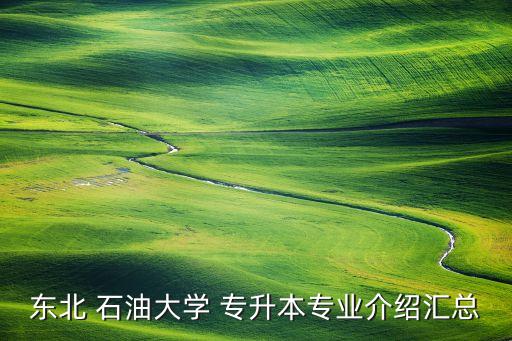 石油大學(xué) 專升本,東北-1專升本專業(yè)介紹匯總點(diǎn)擊查看