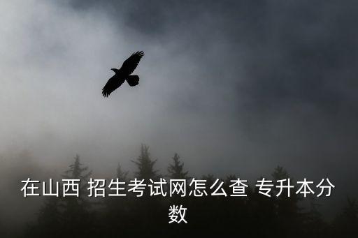 在山西 招生考試網怎么查 專升本分數