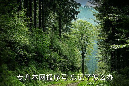  專升本網(wǎng)報(bào)序號 忘記了怎么辦