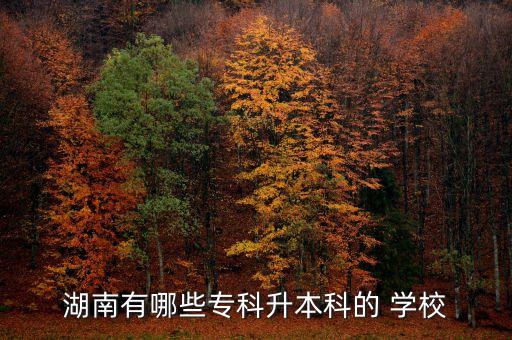 湖南有哪些專科升本科的 學(xué)校