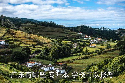 廣東有哪些 專升本 學校可以報考