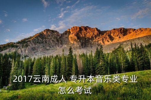 2017云南成人 專(zhuān)升本音樂(lè)類(lèi)專(zhuān)業(yè)怎么考試
