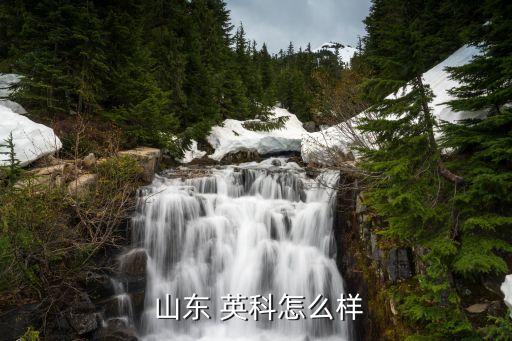 山東英科教育專升本,英科集團在國內(nèi)外擁有5000多名員工